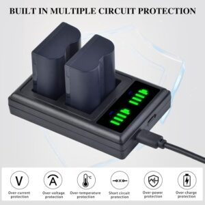 Kit 2 Baterías CGA-S006 / CGA-S006E + Cargador Dual USB para cámaras Panasonic Lumix FZ Series